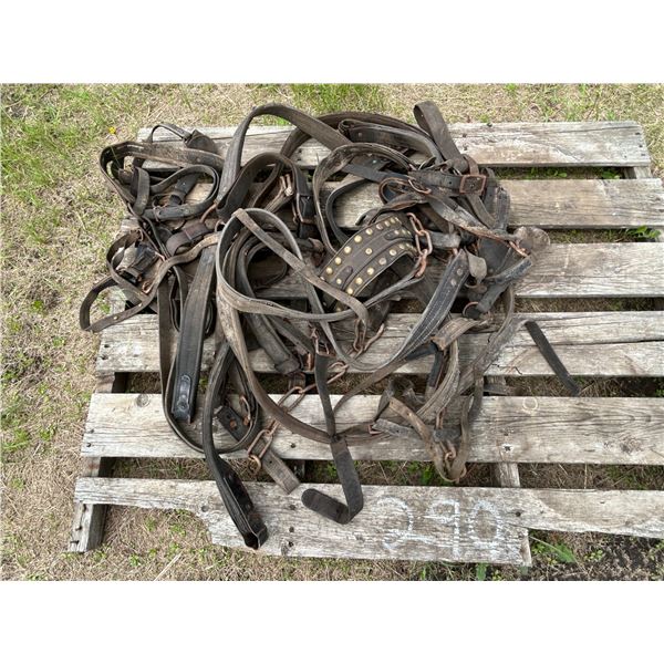 Qty of harness