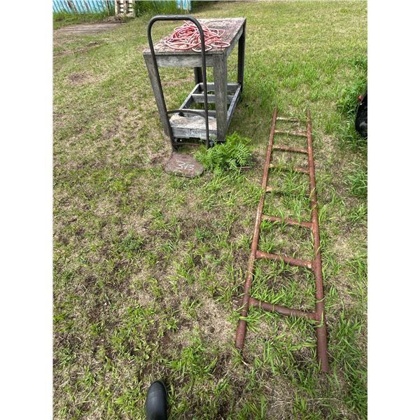 Wood rolling cart, 2 wheel dolly & steel ladder