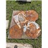 Image 1 : 4 Diamond blades, approx. 30"