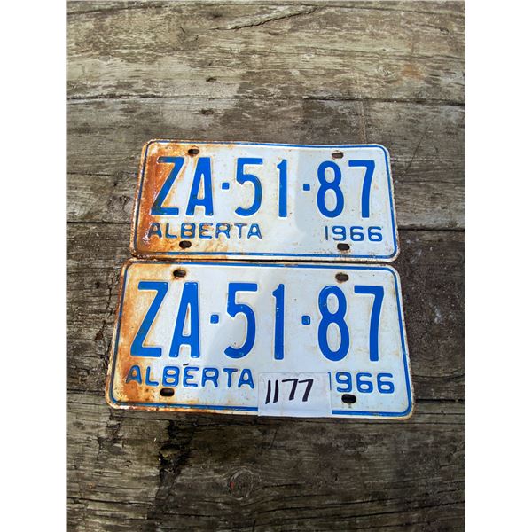 2 white 1966 license plates