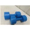 Image 2 : Dumbbells, Ankle Weights and 3 Pound Ball