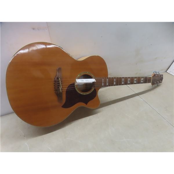 Takamine Electric-Acoustic Guitar