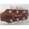 Image 2 : Takamine Electric-Acoustic Guitar