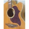 Image 7 : Takamine Electric-Acoustic Guitar