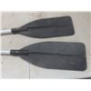 Image 4 : Paddles – Qty 2