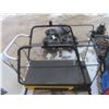 Image 2 : Dog Grooming Station with Hydraulic Lift – 21 × 48 × 4"