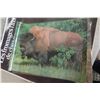 Image 13 : Vintage Poster Lot – Qty 17: Jim Davis Garfield (x2), Wildlife, Bison and More