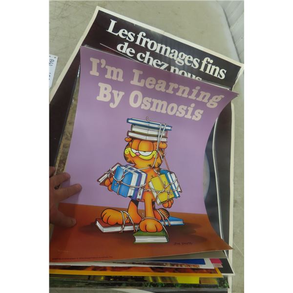 Vintage Poster Lot – Qty 17: Jim Davis Garfield (x2), Wildlife, Bison and More