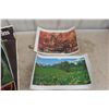 Image 5 : Vintage Poster Lot – Qty 17: Jim Davis Garfield (x2), Wildlife, Bison and More