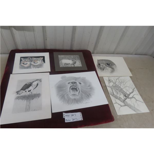 Vintage Wildlife Sketch Drawings by Canadian Artist Wayne Stinson – Qty 6
