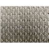 Image 5 : Carpet Remnant – 156" x 147"