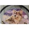 Image 2 : Dream Catcher, 24" Diameter