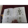 Image 6 : Strength Training Anatomy – 2nd and 3rd Editions by Frédéric Delavier