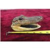 Image 1 : Allegator Head - Very Interesting Piece