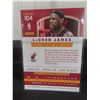 Image 3 : LeBron James Miami Heat Basketball Card