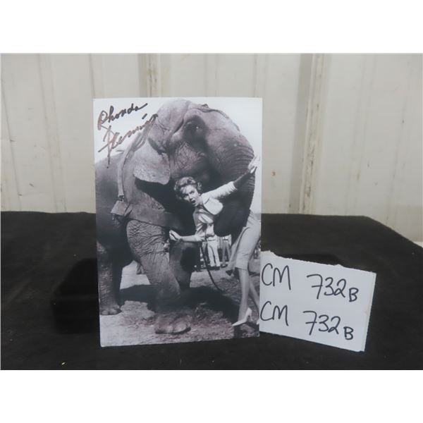 Signed Rhonda Fleming 4" × 6" Photo