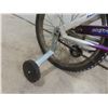 Image 10 : Flamingo Shifting Gears Pedal Bike with Training Wheels, 17"