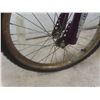 Image 5 : Flamingo Shifting Gears Pedal Bike with Training Wheels, 17"