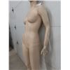 Image 2 : Female Mannequin with Base, 71" Tall