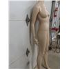 Image 3 : Female Mannequin with Base, 71" Tall