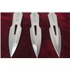 Image 3 : Set of 3 Super Throw Throwing Knives with Holster