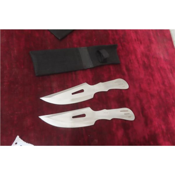 2 Stainless Throwing Knives with Holster