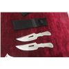 Image 1 : 2 Stainless Throwing Knives with Holster