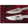 Image 2 : 2 Stainless Throwing Knives with Holster
