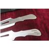 Image 3 : 2 Stainless Throwing Knives with Holster