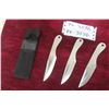 Image 1 : 3 Throwing Knives with Holster