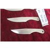 Image 2 : 3 Throwing Knives with Holster
