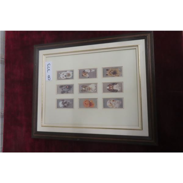 9 Framed and Matted 1930s Tobacco Cards