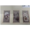 Image 2 : 9 Framed and Matted 1930s Tobacco Cards