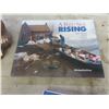 Image 9 : Financial Post Gorilla Figure 10"; Flood of the Century 1997 Hardcover