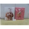 Image 1 : New Pictures on Canvas, 16×12" – Qty 2