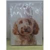 Image 3 : New Pictures on Canvas, 16×12" – Qty 2