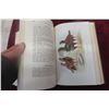 Image 5 : 1921 "The Book of Poultry" – 70 Beautiful Colour Plates, Many Text Illustrations, 672 Pages