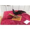 Image 1 : Taxidermy Wall Mount of a Red-Winged Male Blackbird