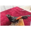Image 2 : Taxidermy Wall Mount of a Red-Winged Male Blackbird