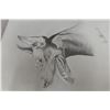 Image 2 : 4 Artist-Signed Dog Sketch Drawings by Stinson: Bernese Mountain Dog, Doberman Pinscher