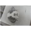 Image 8 : 4 Artist-Signed Dog Sketch Drawings by Stinson: Bernese Mountain Dog, Doberman Pinscher