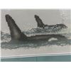 Image 9 : Framed Squirrel Print and Framed Orca Needlepoint – Largest 11" × 21"