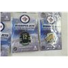 Image 5 : Winnipeg Jets 2013–14 Pin Collection – 12 Pins, 5 Packages and More