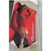 Image 7 : Budweiser, Molson, Lucky, Bavaria, Makita Promo Posters and Adult Pin-Up Calendars – Qty 10+