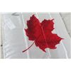 Image 3 : Flags: I Am Molson Canadian, Union Jack, 2 Canada, England, 