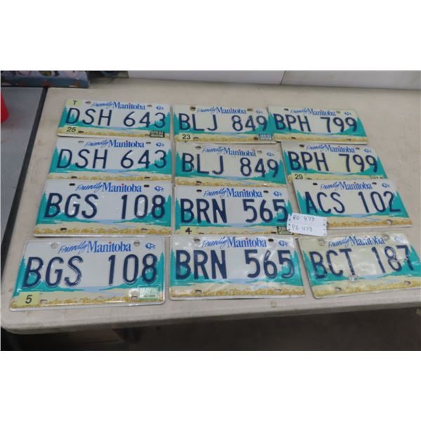12 Manitoba License Plates 