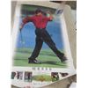 Image 5 : 6 Store Promo Posters – Sturgis, Tiger Woods, Nascar and More