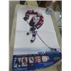 Image 6 : 6 Store Promo Posters – Sturgis, Tiger Woods, Nascar and More
