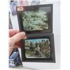 Image 12 : 20 Original Glass Slides of WWI, Numbered 44–63