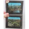 Image 6 : 20 Original Glass Slides of WWI, Numbered 44–63